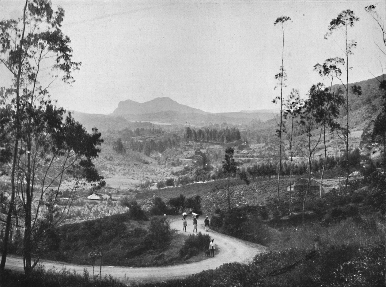Ramboda Geçidi