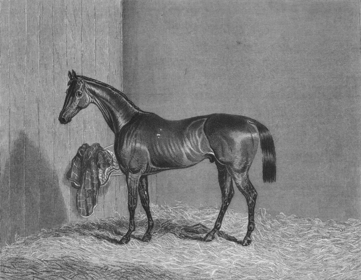 Bloomsbury, 1836-1861, 1911 by Unbekannt