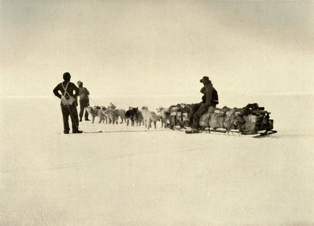 Bariyerdeki Bluff Depot Partisi, c1908, 1909. by Unbekannt