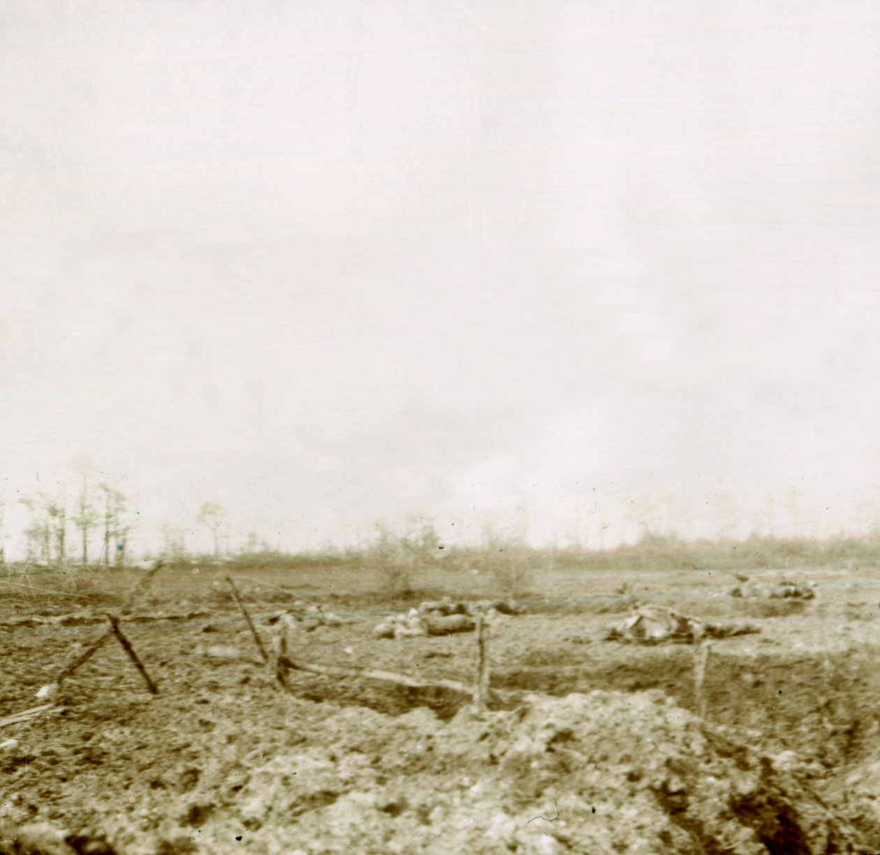 Saldırıdan sonraki cesetler, c1914-c1918 by Unbekannt