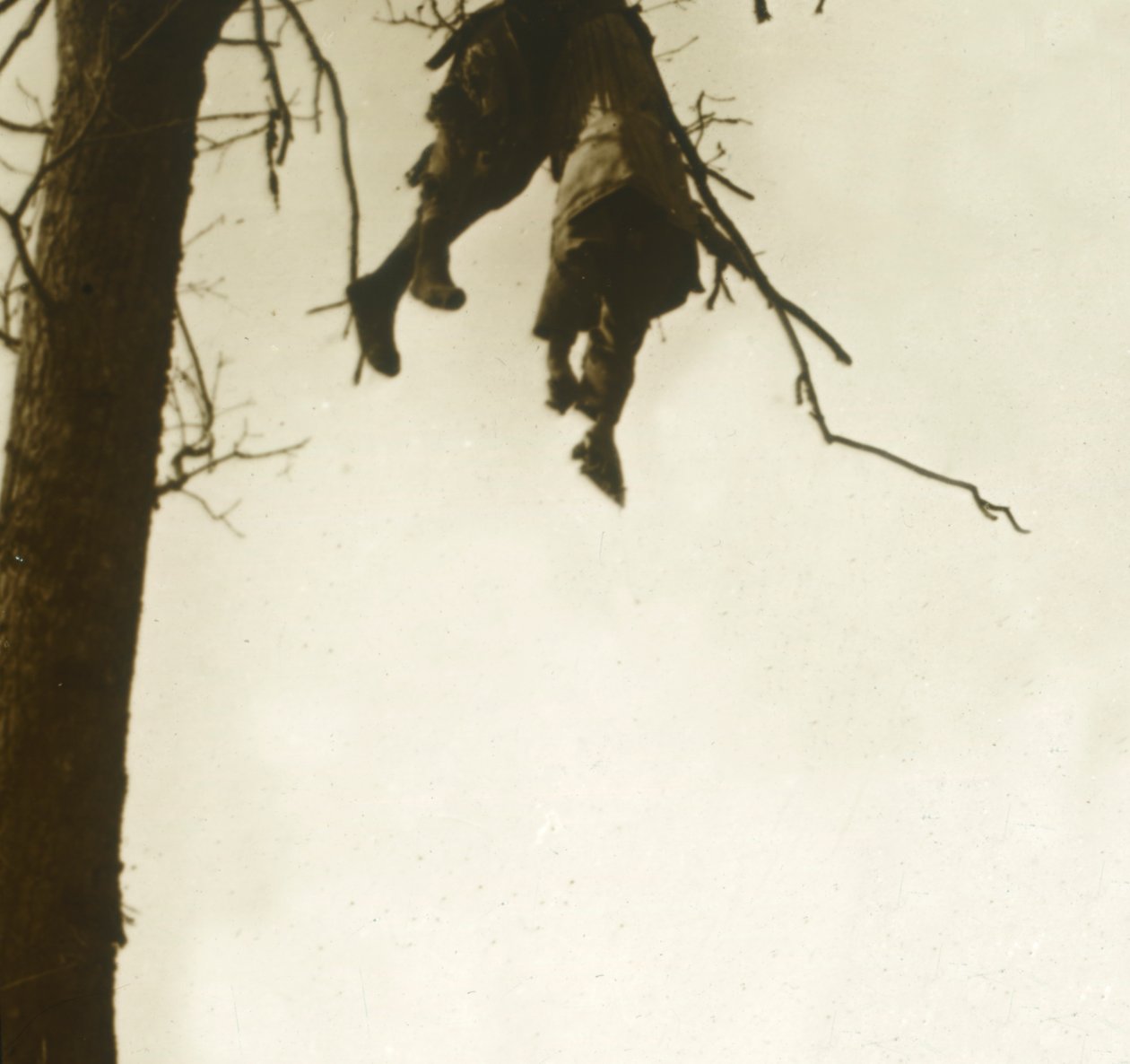 Ağaçtaki vücut, Bois dAvocourt, Verdun, kuzey Fransa, c1914-c1918. by Unbekannt