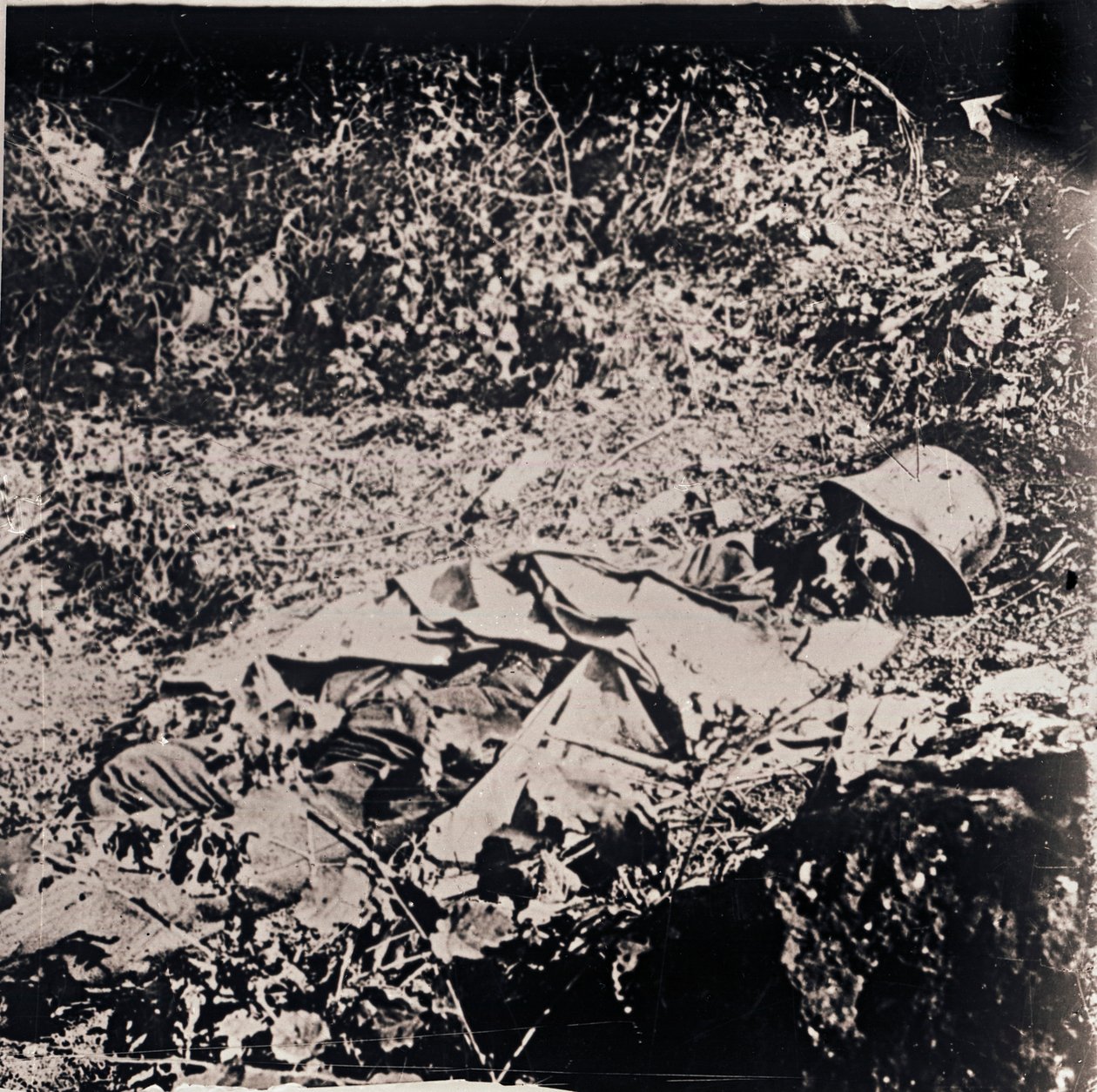 Ölü Alman askerinin cesedi, c1914-c1918 by Unbekannt