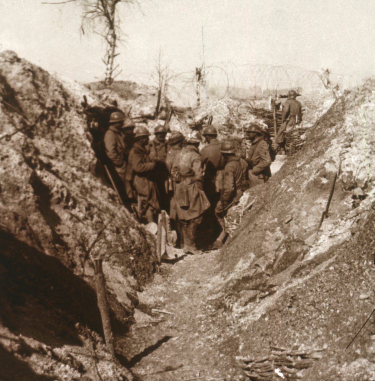 Bois de la Grille saldırıdan önce, kuzey Fransa, c1914-c1918 by Unbekannt