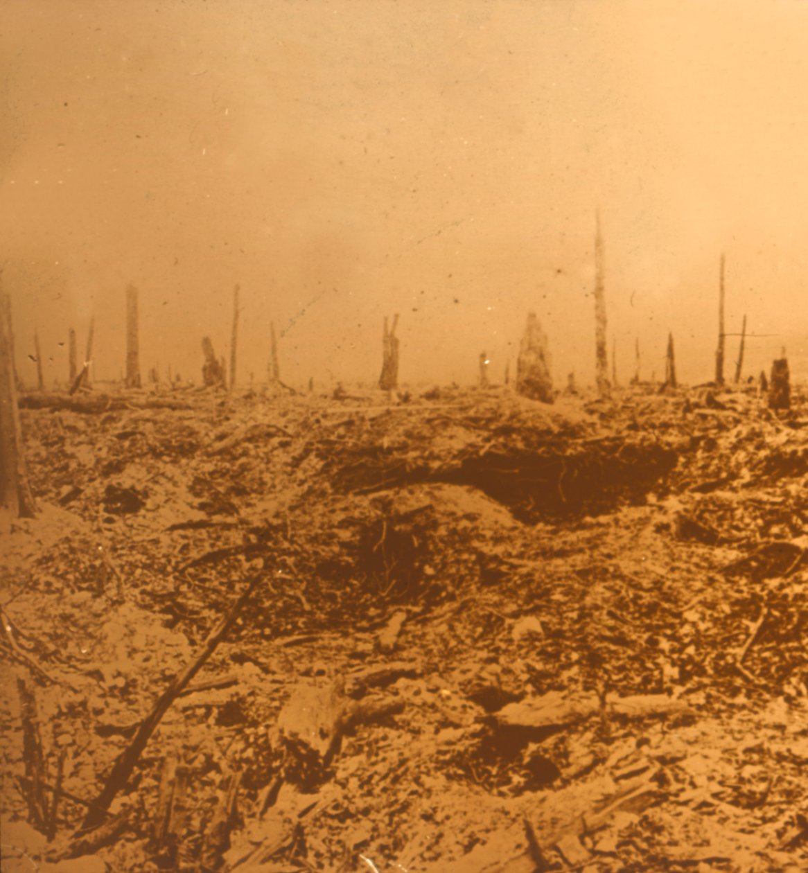 Bois du Chapitre, Vaux, kuzey Fransa, c1914-c1918 by Unbekannt