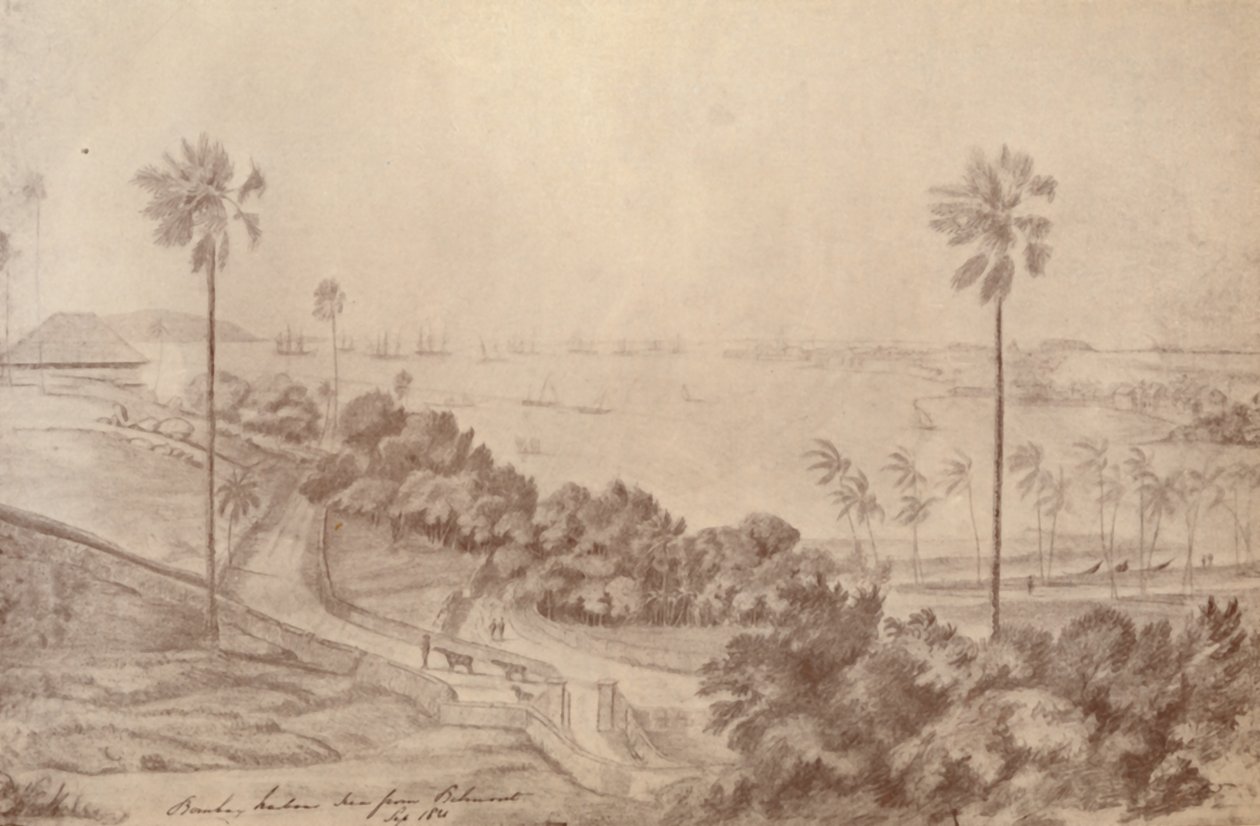 Bombay Limanı - Belmont