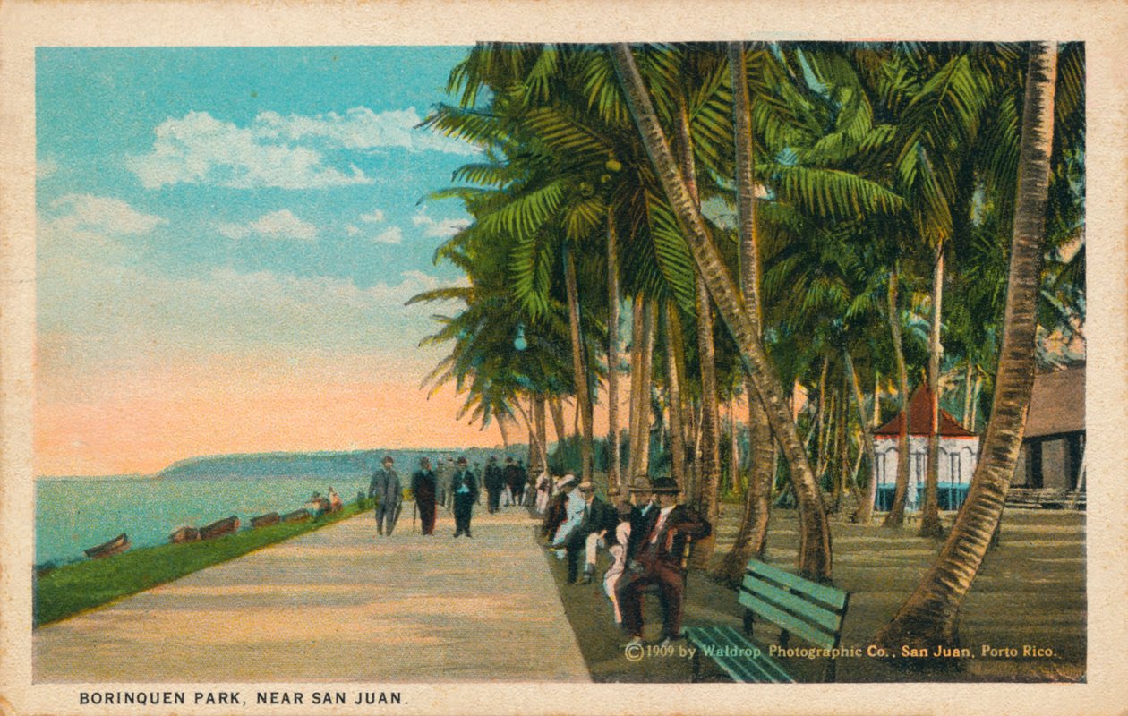 San Juan yakınlarındaki Borinquen Parkı, 1909 by Unbekannt