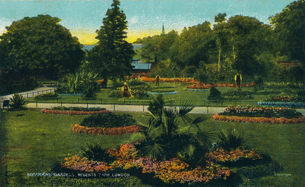 Botanik Bahçeleri, Regents Park, Londra, c1910 by Unbekannt