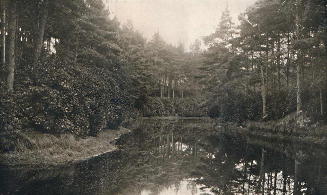 Branksome Çin ve Göl, c1910 by Unbekannt