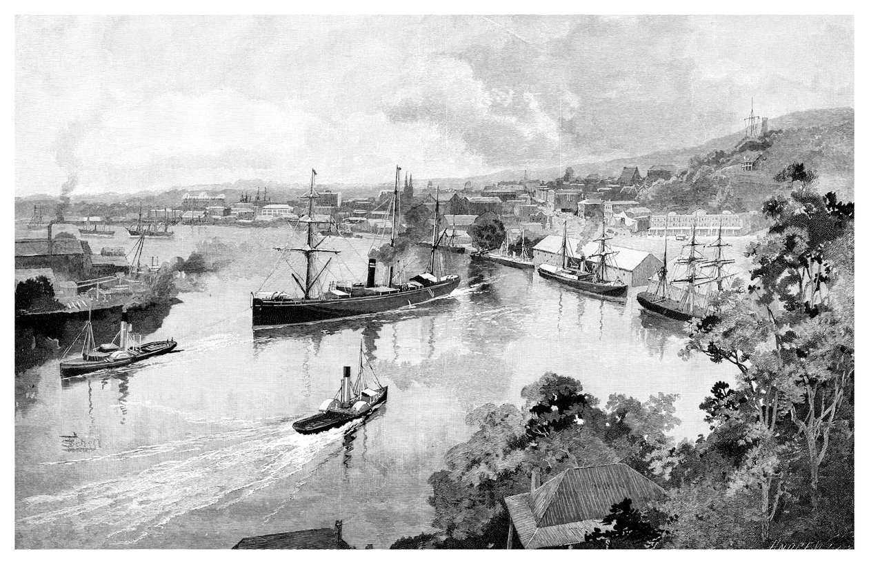 Bowen Terasından Brisbane, 1886 by Unbekannt