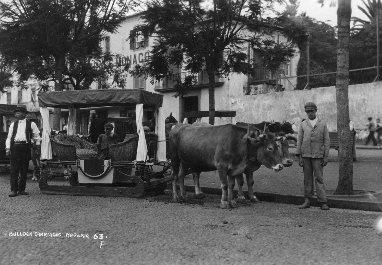 Bullock arabası, Madeira, Portekiz, c1920s-c1930s by Unbekannt