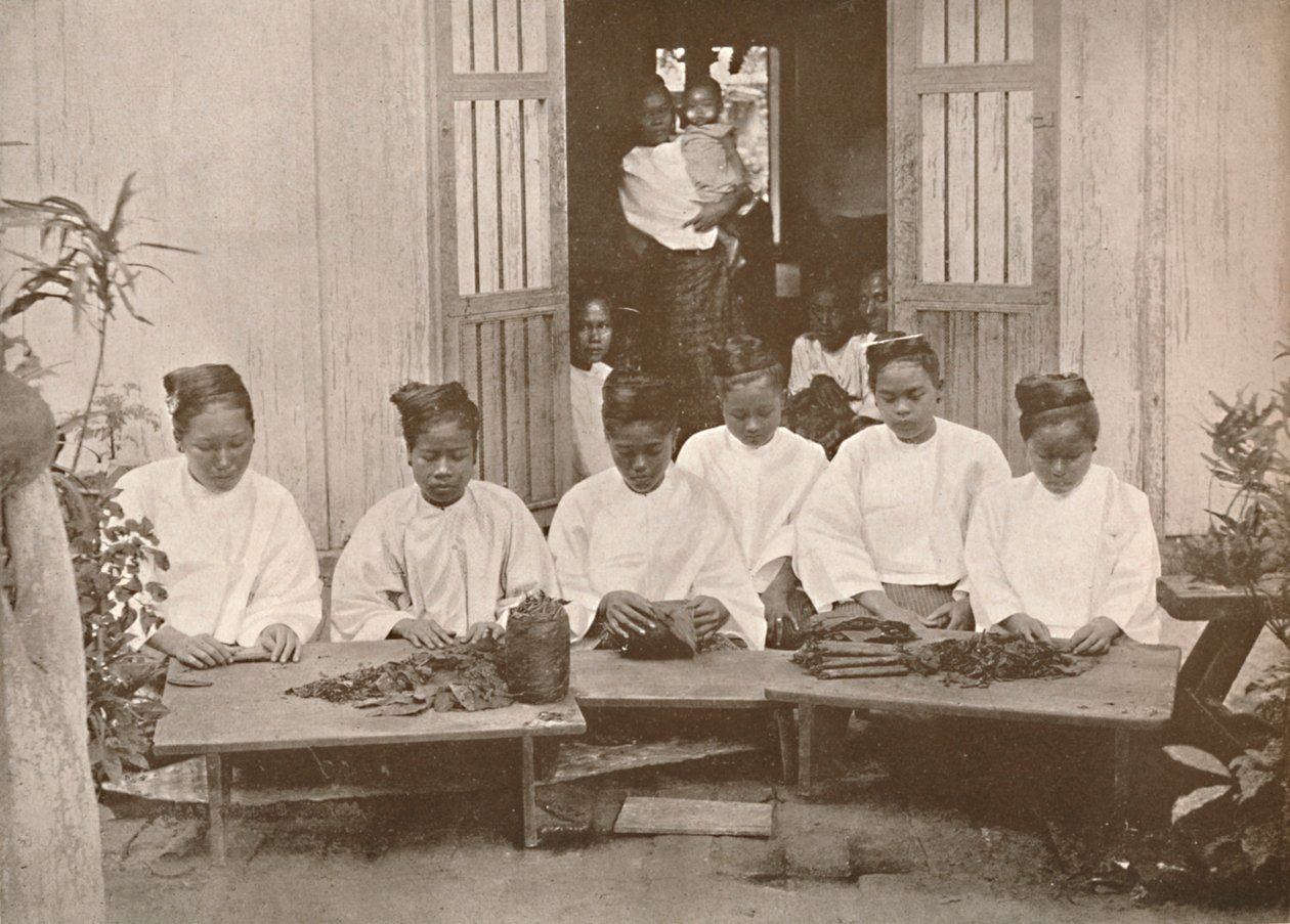 Birmanya Puro Üreticileri, 1900. by Unbekannt