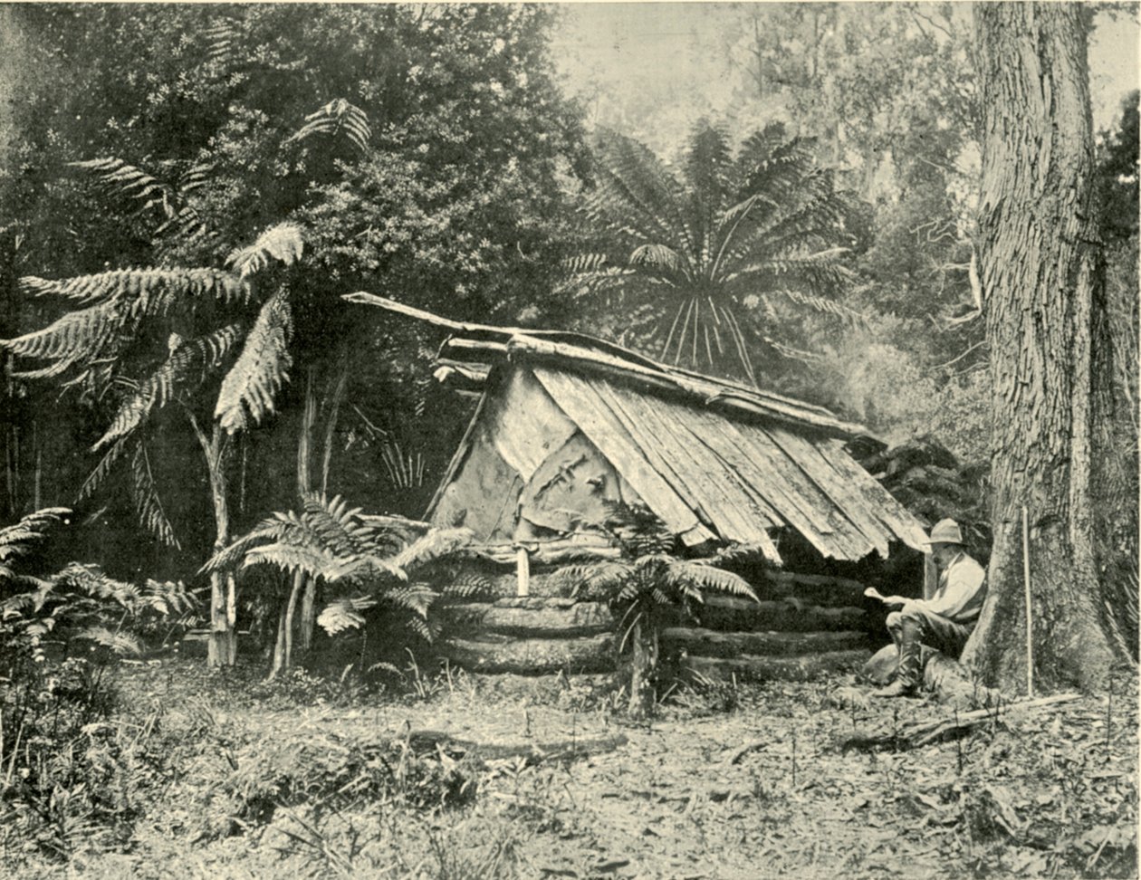 Bush Kulübesi, Dandenong Sıradağları, Victoria, 1901. by Unbekannt