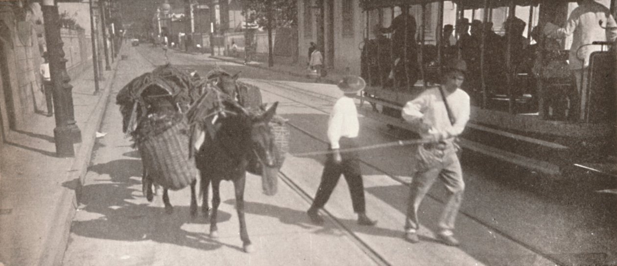 Tramvay ve katırla, 1914 by Unbekannt