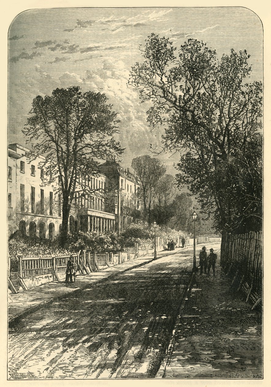 Camberwell Korusu, c1878. by Unbekannt
