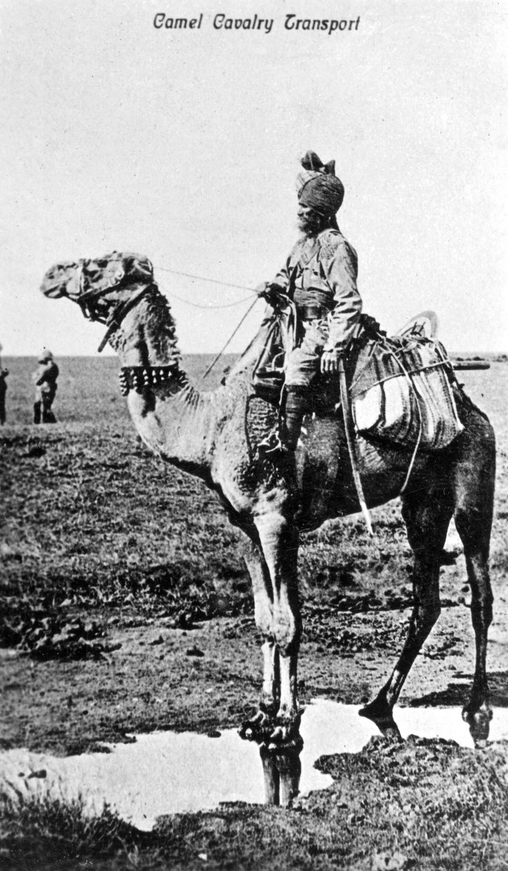 Deve süvari taşımacılığı, Hindistan, 20. yüzyıl by Unbekannt
