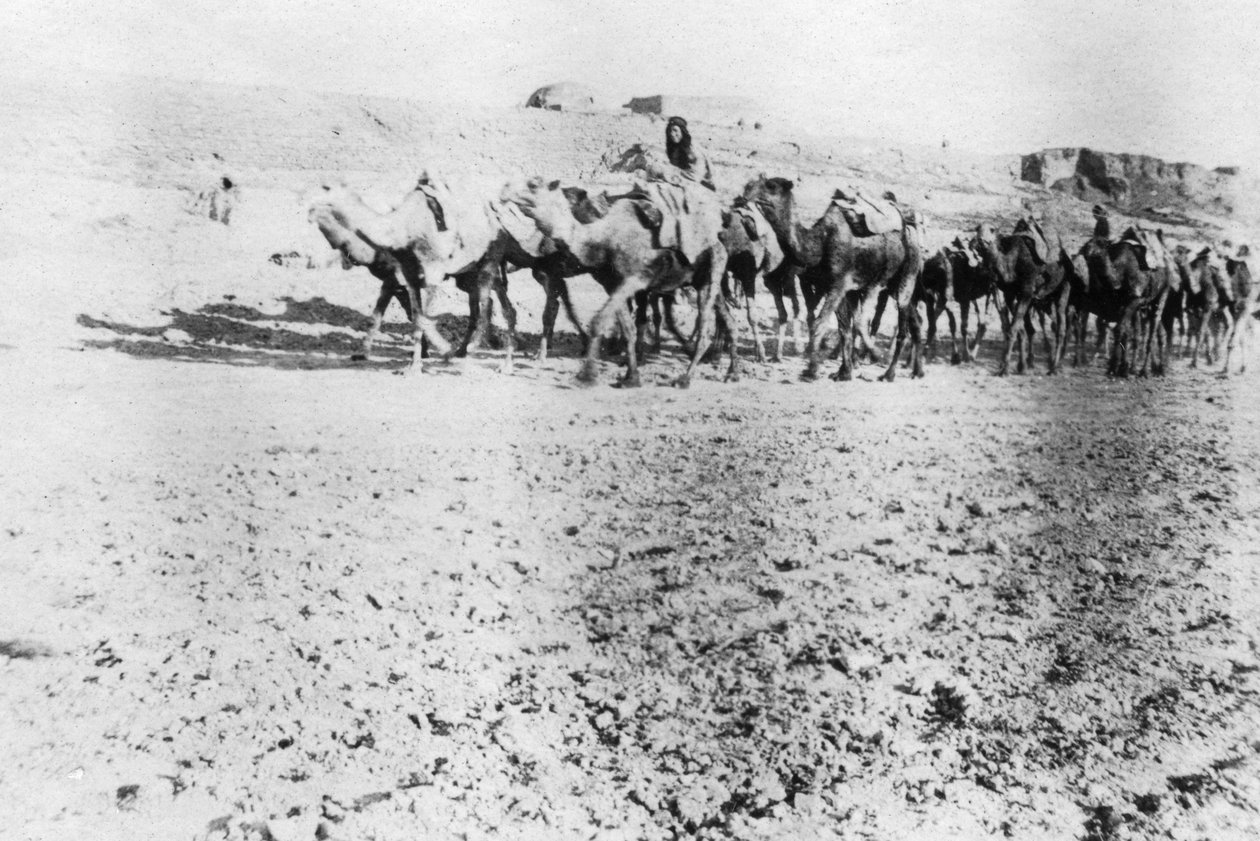 Deve treni, Musul, Mezopotamya, 1918 by Unbekannt