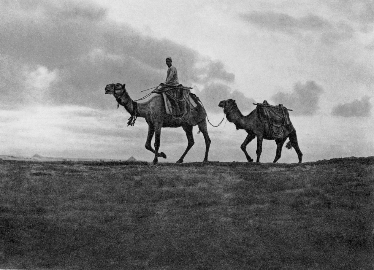 Kahire, Mısır, c1920