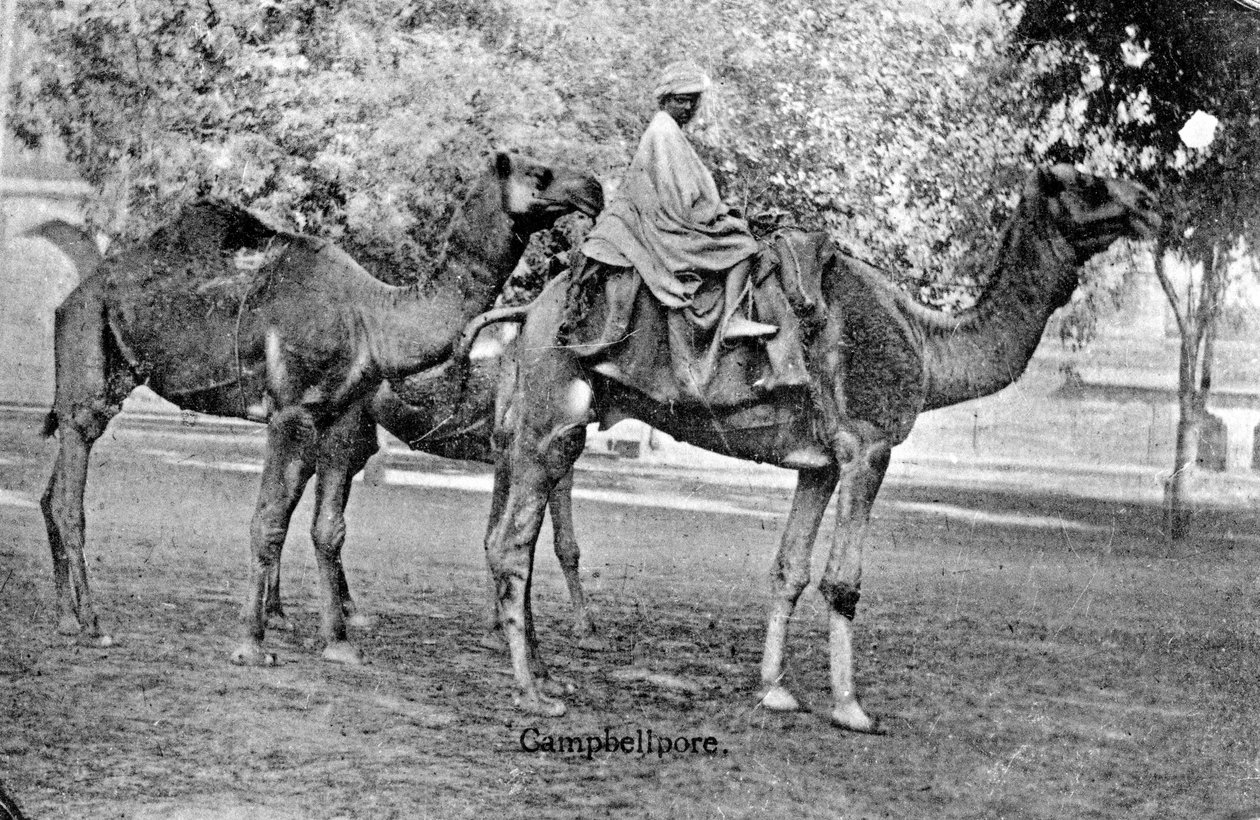 Campbellpore, Pakistan, 20. yüzyıl by Unbekannt