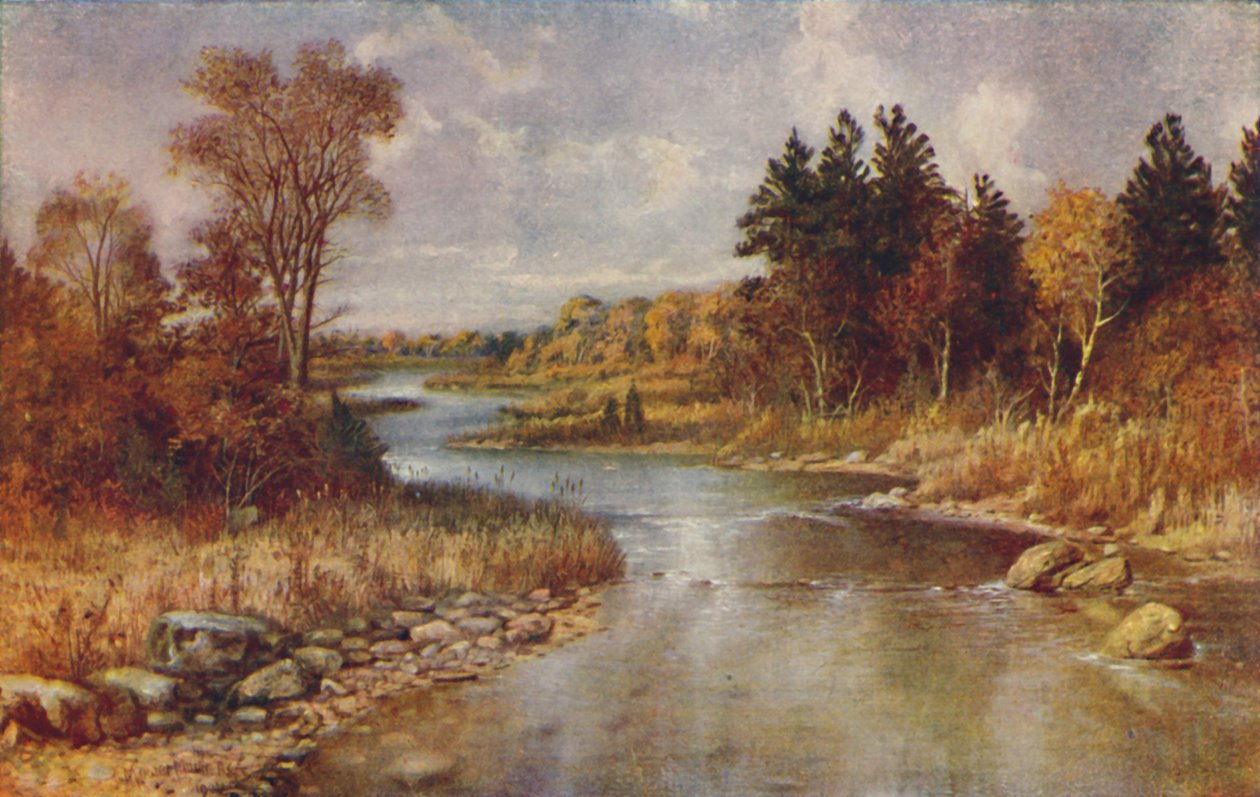 Kanada Orman Manzarası, 1924 by Unbekannt