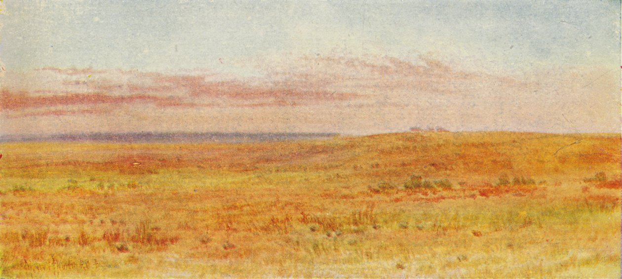 Kanada Çayırı, 1924 by Unbekannt