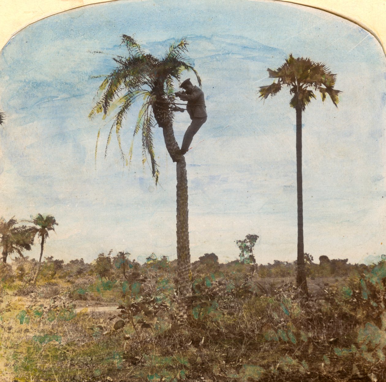 Kaptan Osman