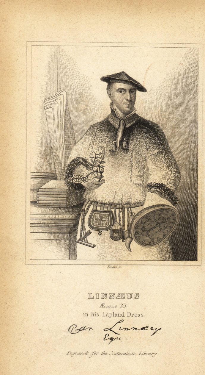 Carl Linnaeus, Laponya Elbisesi içinde, İsveçli botanikçi, doktor ve zoolog, iki terimli isimlendirmenin mucidi by Unbekannt