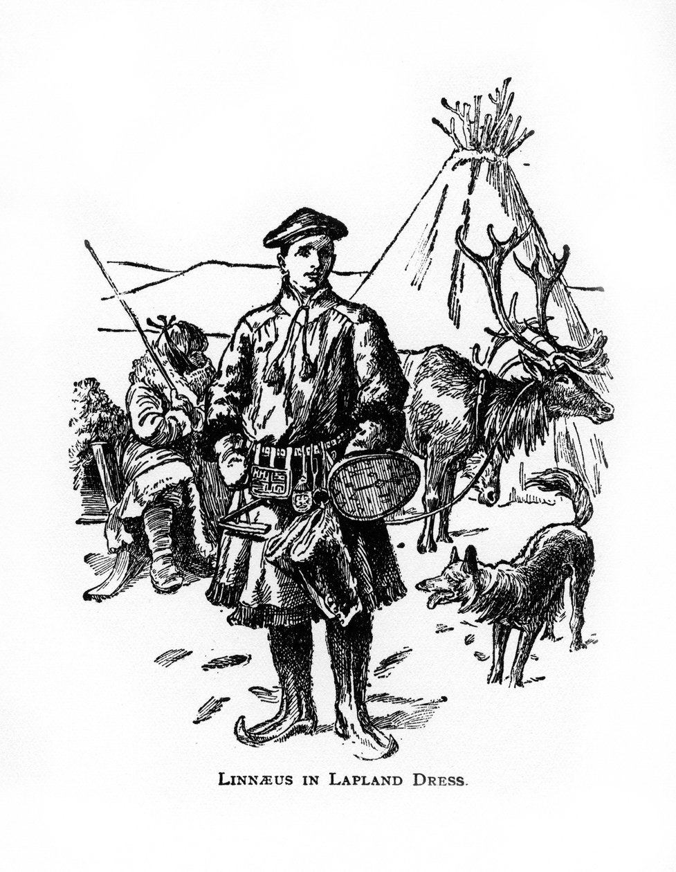 Carolus Linnaeus, 18. yüzyıl İsveçli botanikçi, doktor ve zoolog, 20. yüzyıl by Unbekannt
