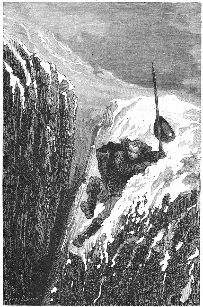 Carolus Linnaeus, 18. yüzyıl İsveçli bilim adamı ve doğa bilimci, 1874 by Unbekannt
