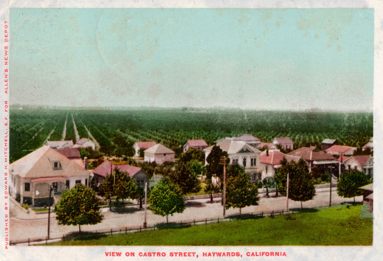 Castro Caddesi, Hayward, Kaliforniya, 1905 by Unbekannt