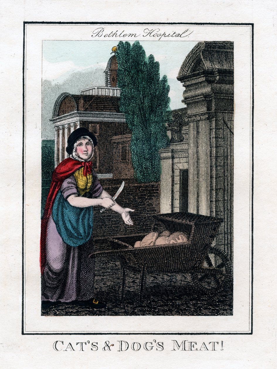 Kediler ve Köpekler Eti!, Bethlem Hastanesi, Londra, 1805 by Unbekannt