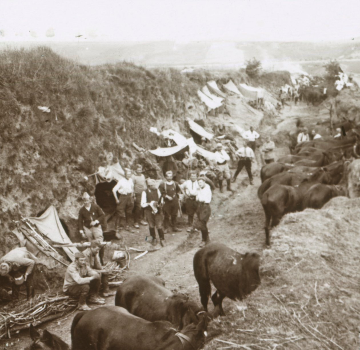 Süvari, c1914-c1918 by Unbekannt