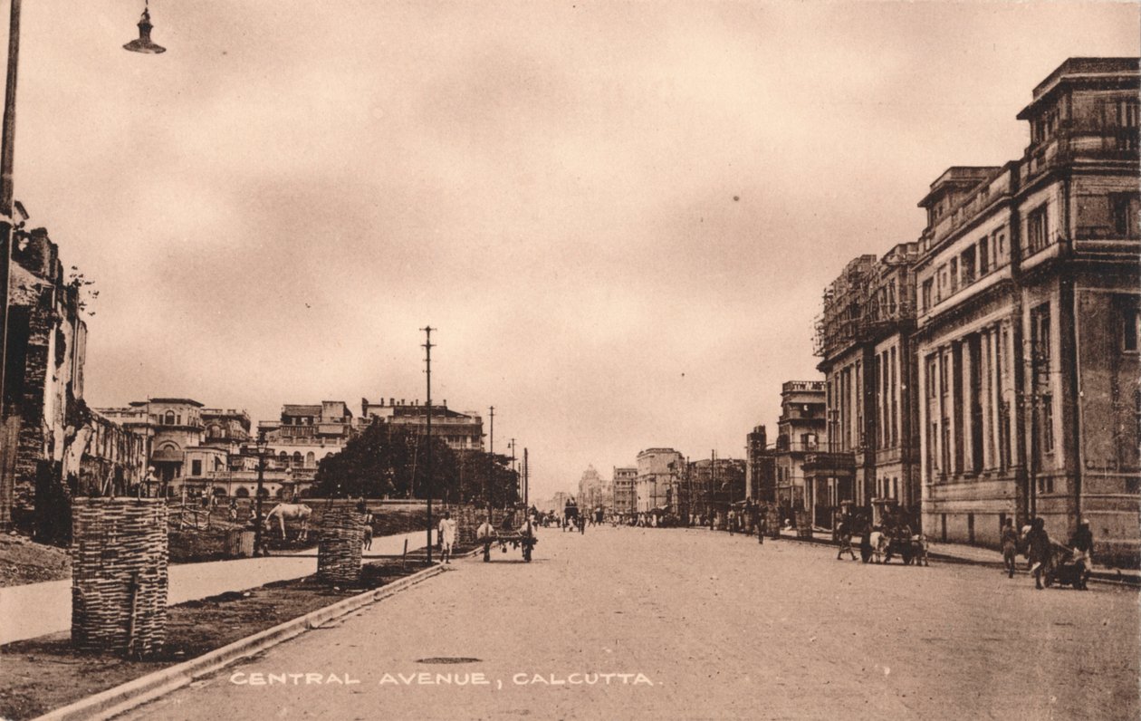 Central Avenue, Kalküta, c1900 by Unbekannt