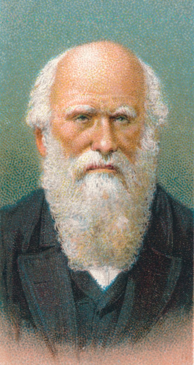 Charles Darwin 1809-1882, İngiliz doğa bilimci, 1924 by Unbekannt