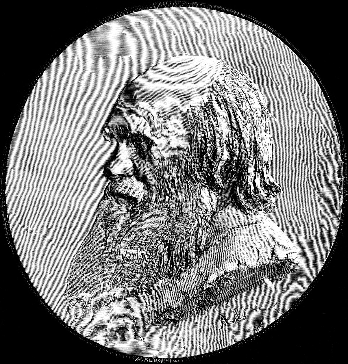 Charles Darwin, 1882 by Unbekannt