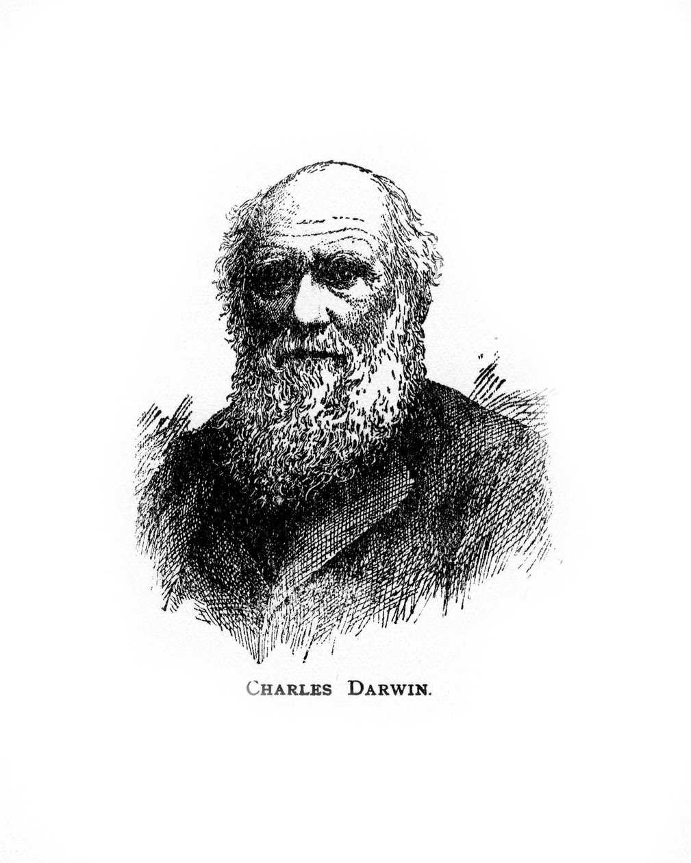 Charles Darwin, 19. yüzyıl İngiliz doğa bilimci, 20. yüzyıl by Unbekannt