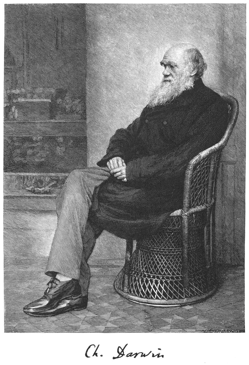 Charles Darwin, İngiliz doğa bilimci, 1883 by Unbekannt