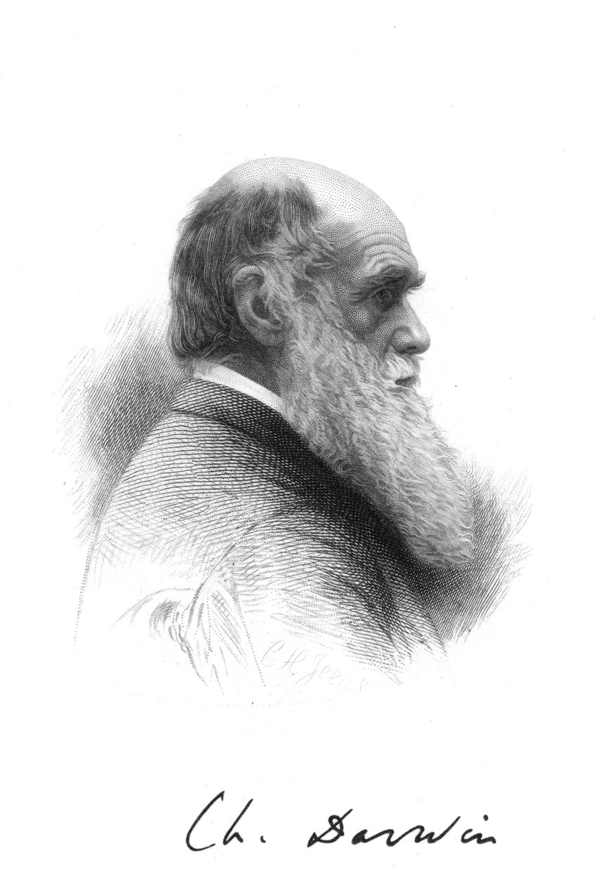 Charles Darwin, İngiliz doğa bilimci, c1880 by Unbekannt