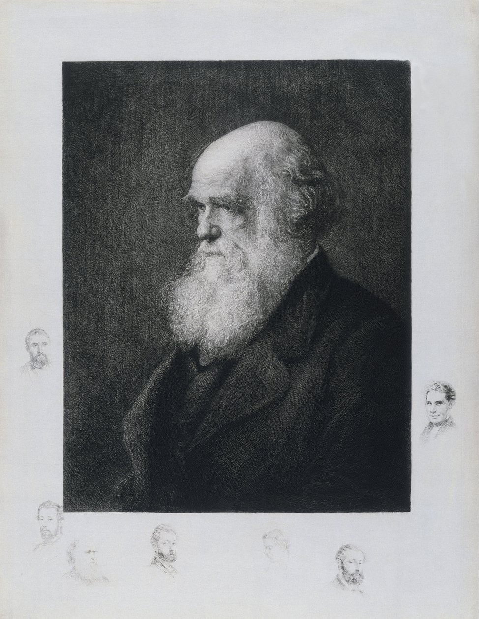 Charles Darwin, İngiliz doğa bilimci, 1860