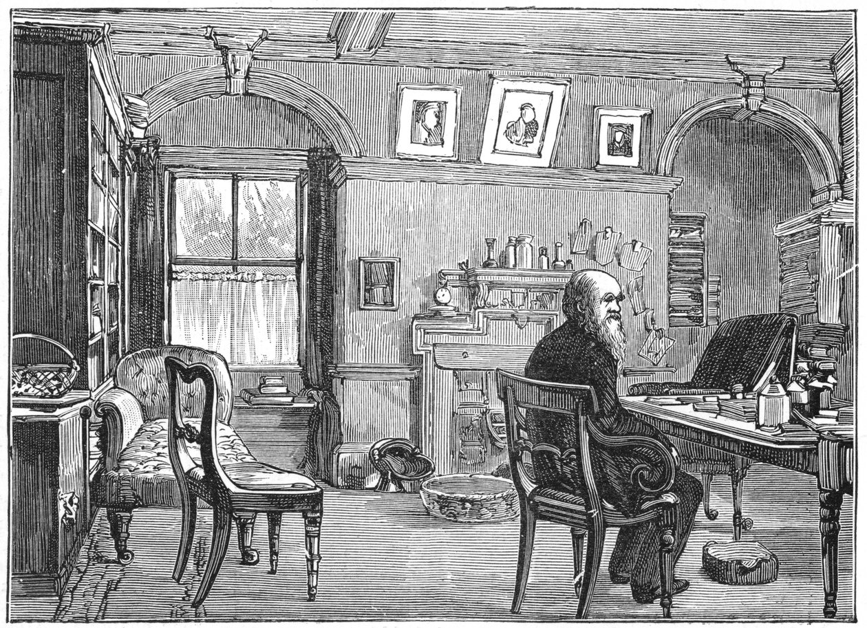 Charles Darwin, İngiliz doğa bilimci, çalışmasında, c1870 1887 by Unbekannt