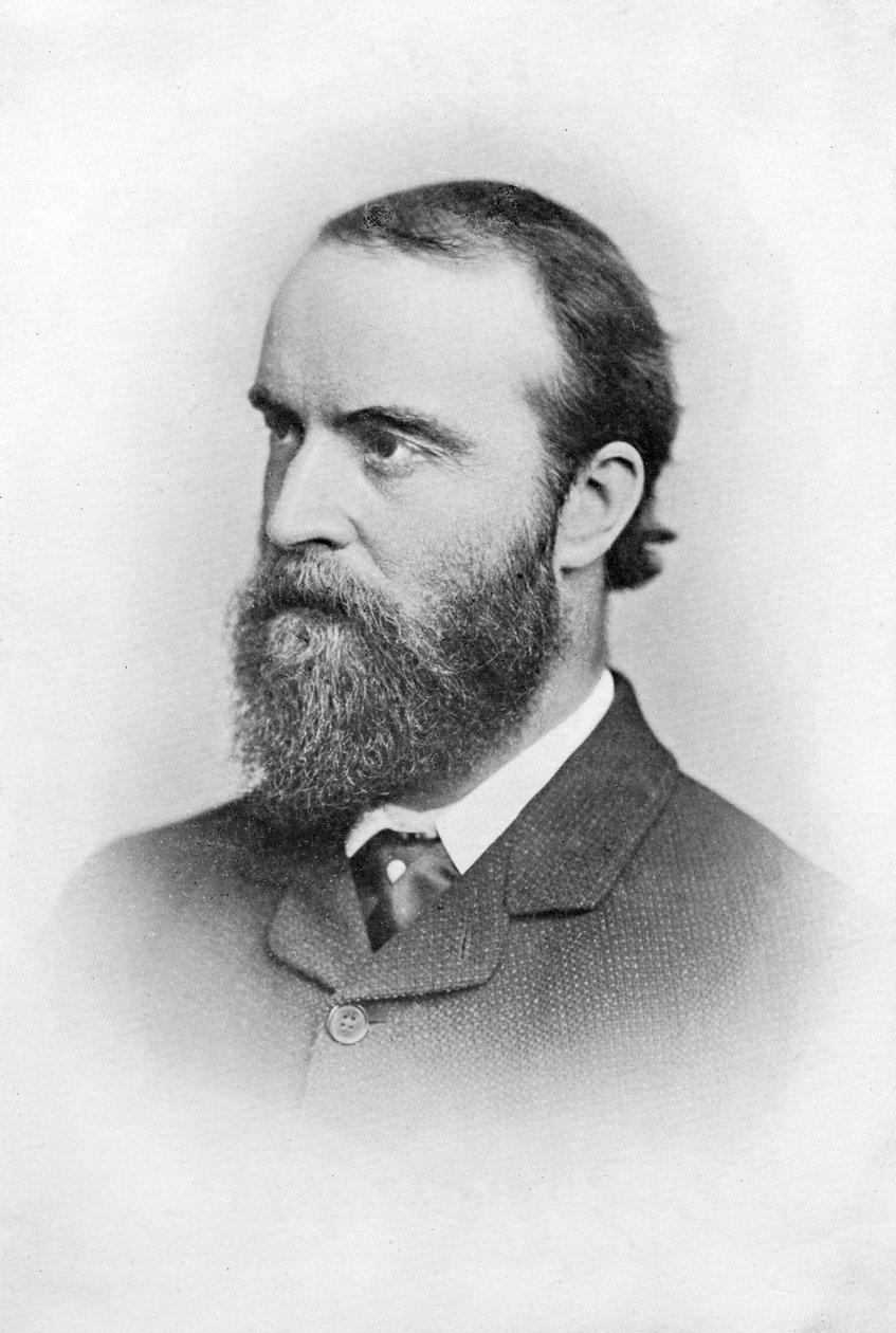 Charles Stuart Parnell, 19. yüzyıl İrlandalı Politikacı, c1874-1891 by Unbekannt