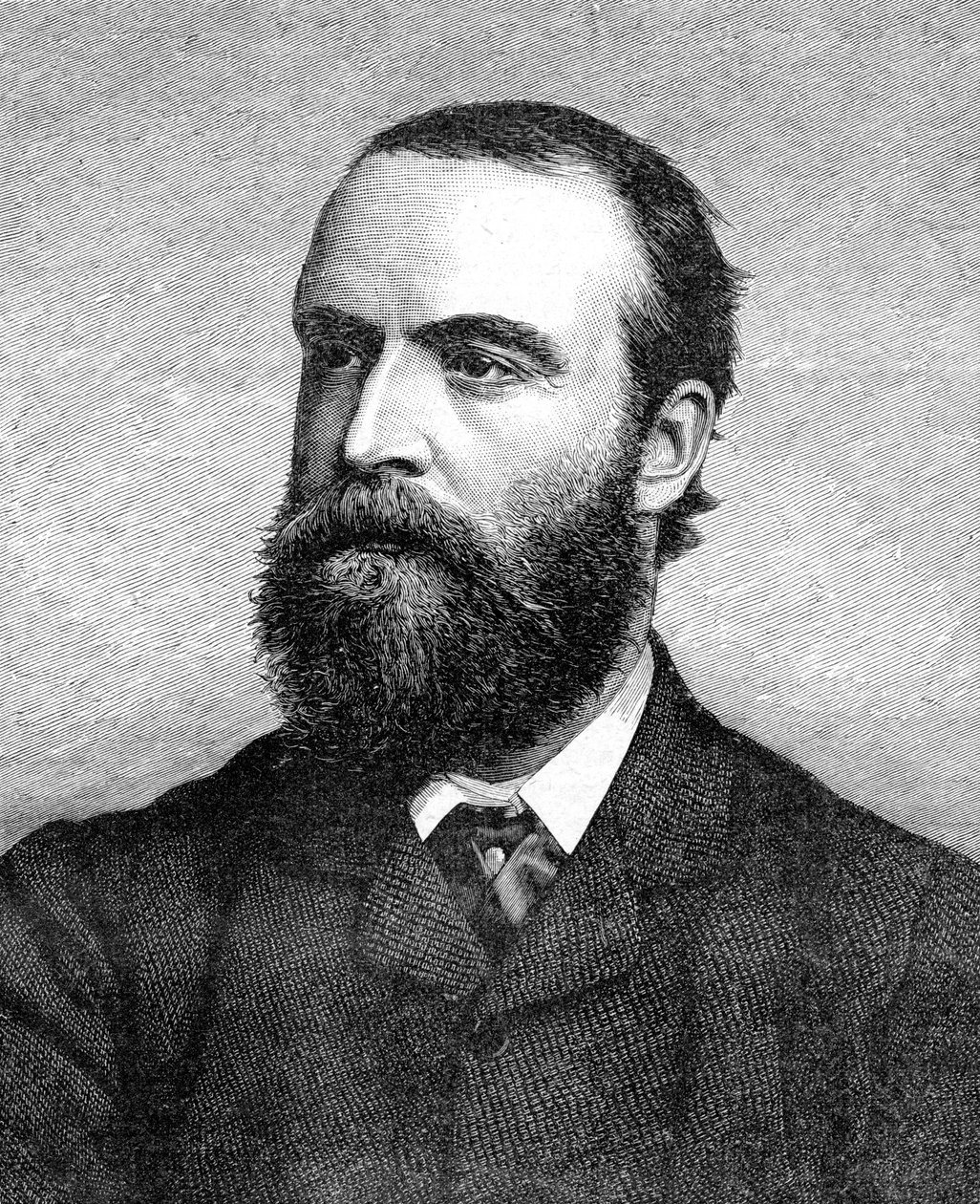 Charles Stuart Parnell, 19. yüzyıl İrlandalı Politikacı, c1874-1891 by Unbekannt