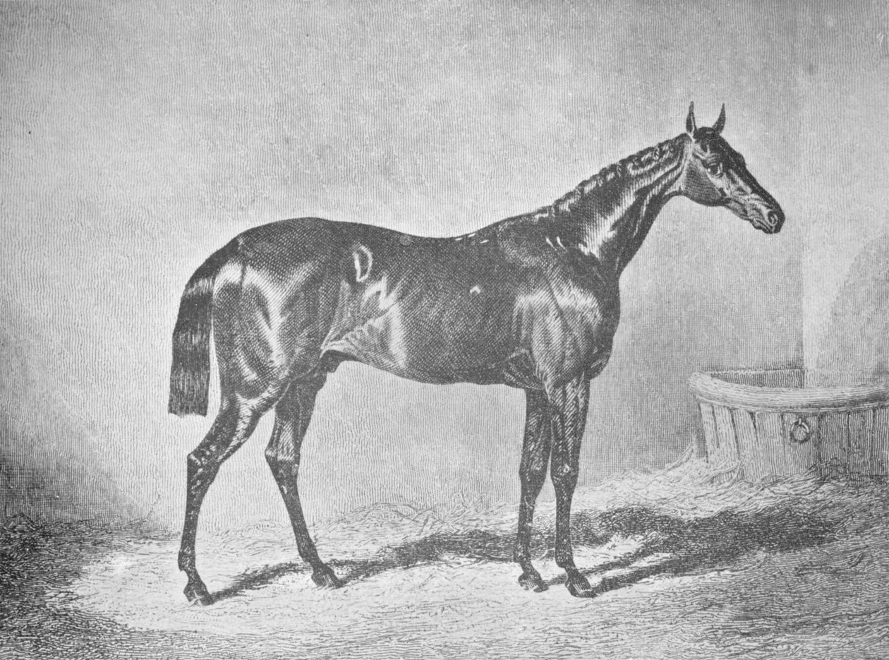Charles XII, St. Leger'in Kazananı 1839, 1911 by Unbekannt