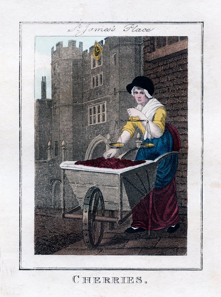 Kirazlar, St James Sarayı, Londra, 1805 by Unbekannt