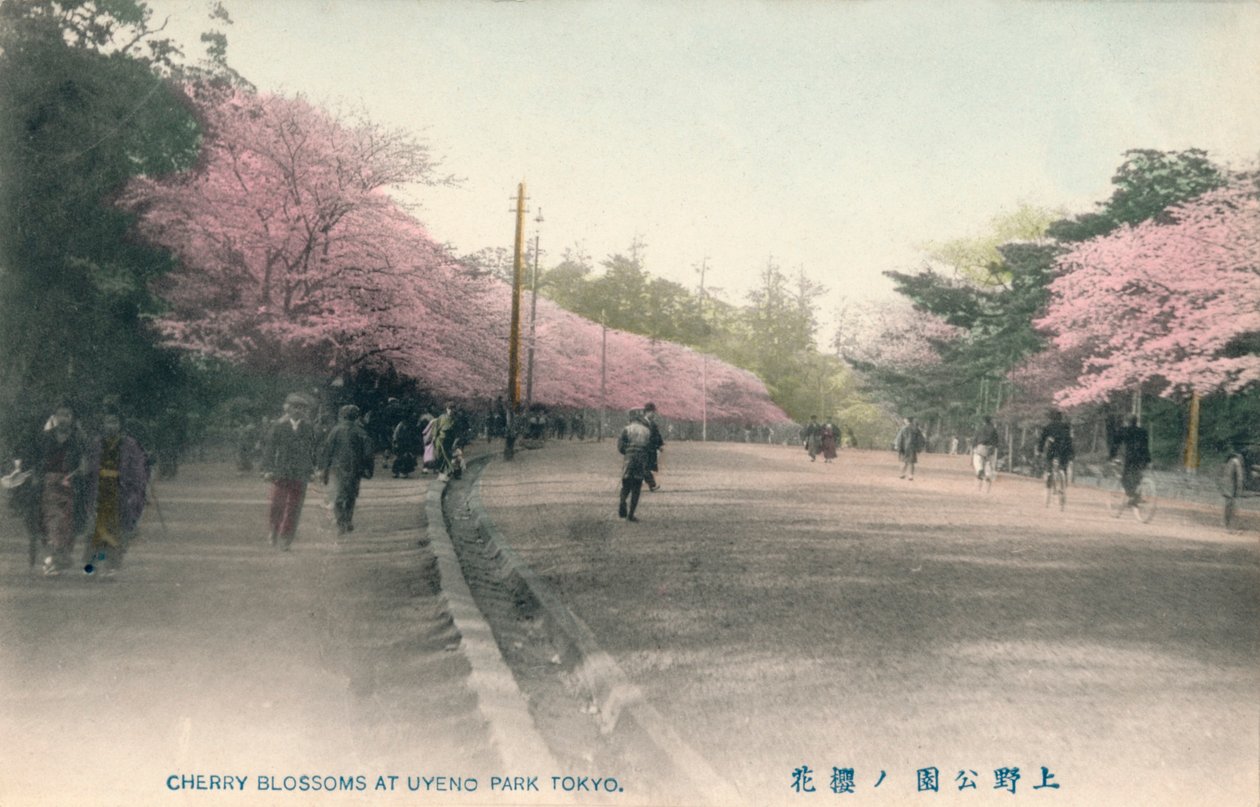 Uyeno Park Tokyo