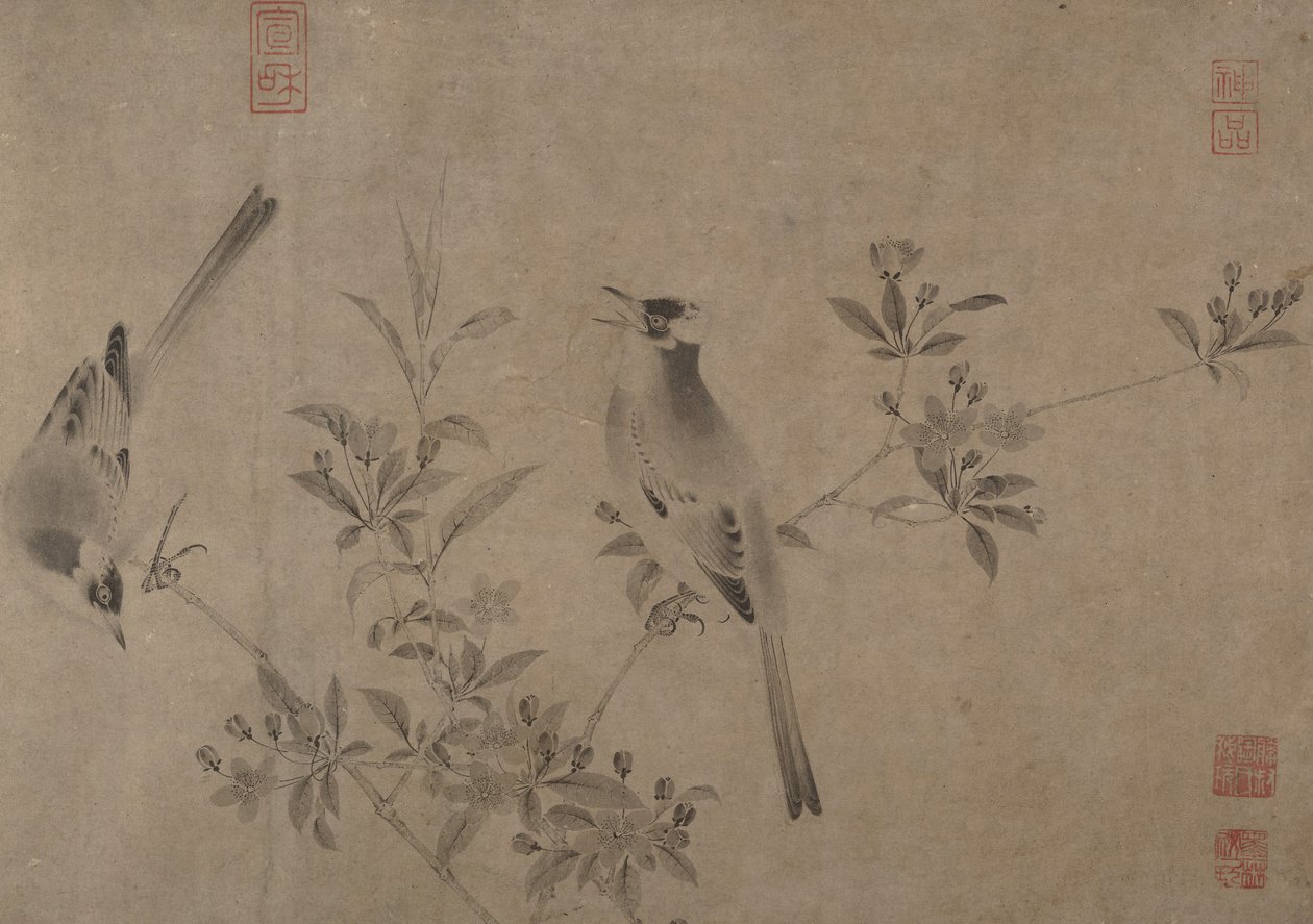 Çiçekli Kiraz-Elma üzerinde Çin Bulbuls. by Unbekannt