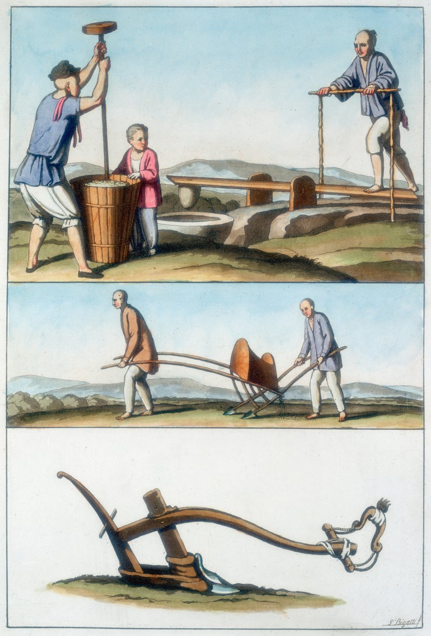 Çin tarımı, 1825-1835 by Unbekannt