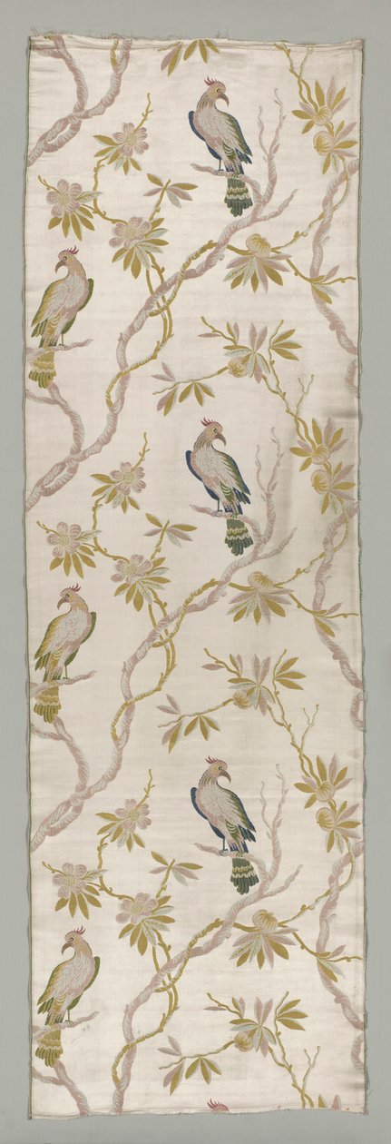 Kakadular, 1700