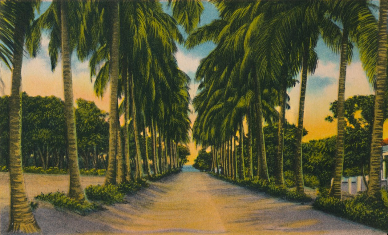 Coconut Avenue, Barranquilla, 1940