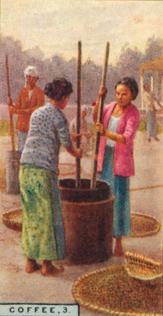 Kahve, 3. Fasulyelerin Soyulması, Java, 1928 by Unbekannt