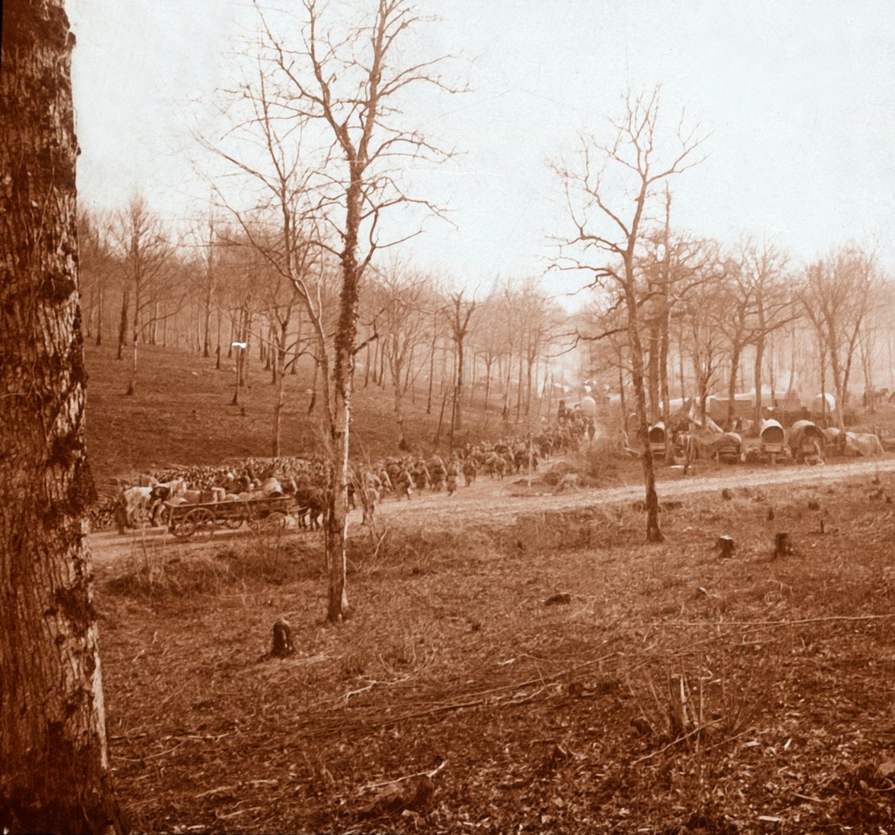 Birlik sütunu, Genicourt, kuzey Fransa, c1914-c1918 by Unbekannt